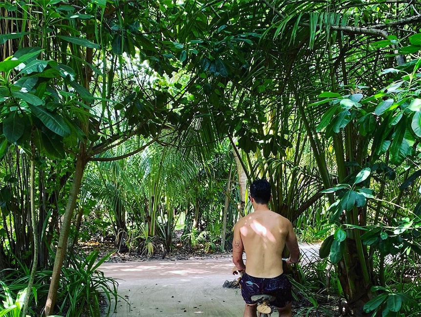 Joe Jonas, Sophie Turner, Honeymoon, Instagram